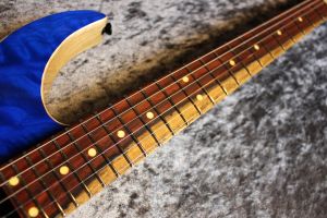 ギター purikyuu XT-4 DX 24F HSH 