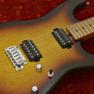 T-Custom by T's Guitars DST-22RM -3 Tone Sunburst- #032221 【ローステッドメイプルネック】【ステンレスフレット】【試奏動画】