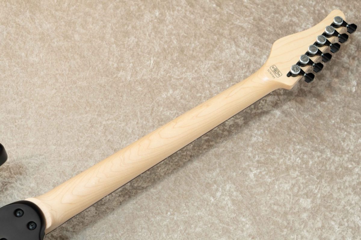 SCHECTER SD-2-24-MH マホガニーバック エボニー指板 希少マホガニーバック SCHECTER SD-2-24 MH ショップオリジナル