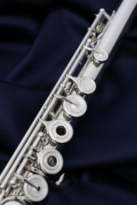 BR coSmo-2RE | 【クロサワ楽器店オンラインショップ】いい楽器との