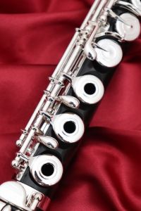 Wood Flute | 【クロサワ楽器店オンラインショップ】いい楽器とのいい