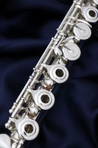 F-MS970/RBE IL | 【クロサワ楽器店オンラインショップ】いい