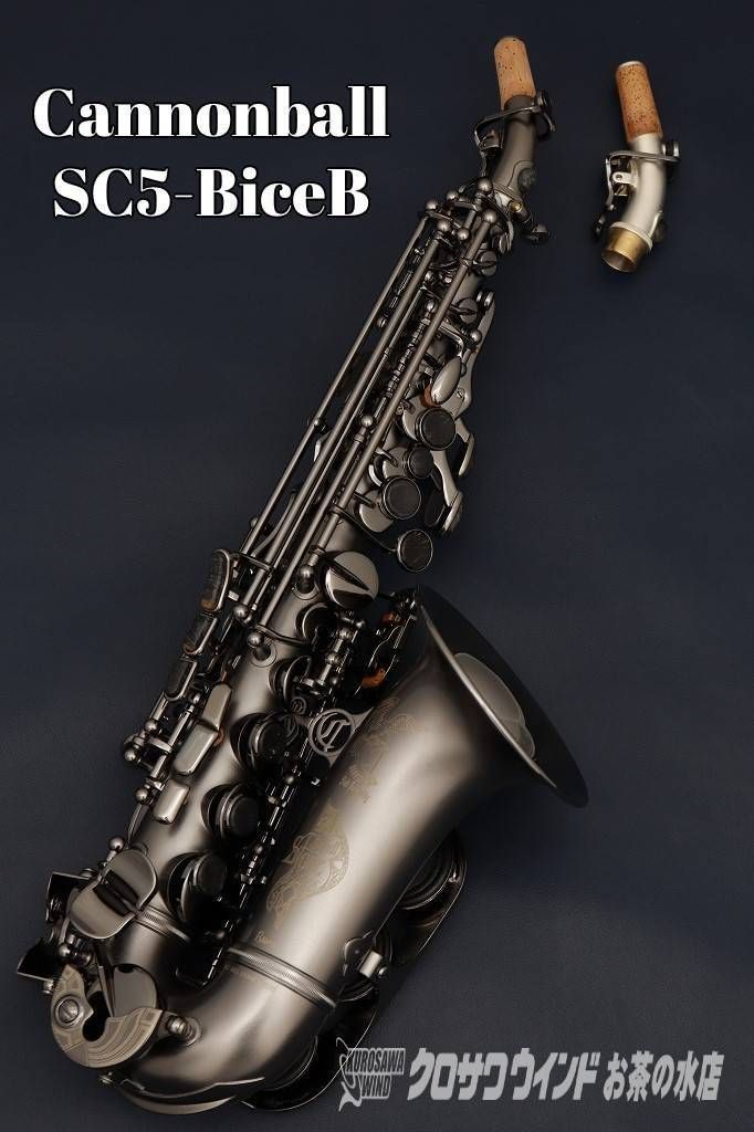 SC5-BiceB | 【クロサワ楽器店オンラインショップ】いい楽器とのいい