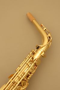 YANAGISAWA A-WO1 アルトサックス ブラス製 ライト仕様AWO1 WO1