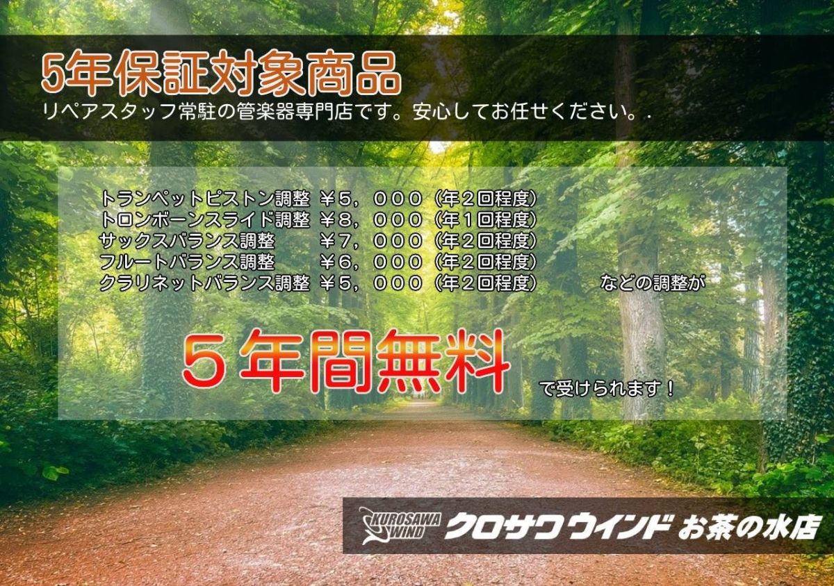 シャトー CAS-H92B | 【クロサワ楽器店オンラインショップ】いい楽器と 