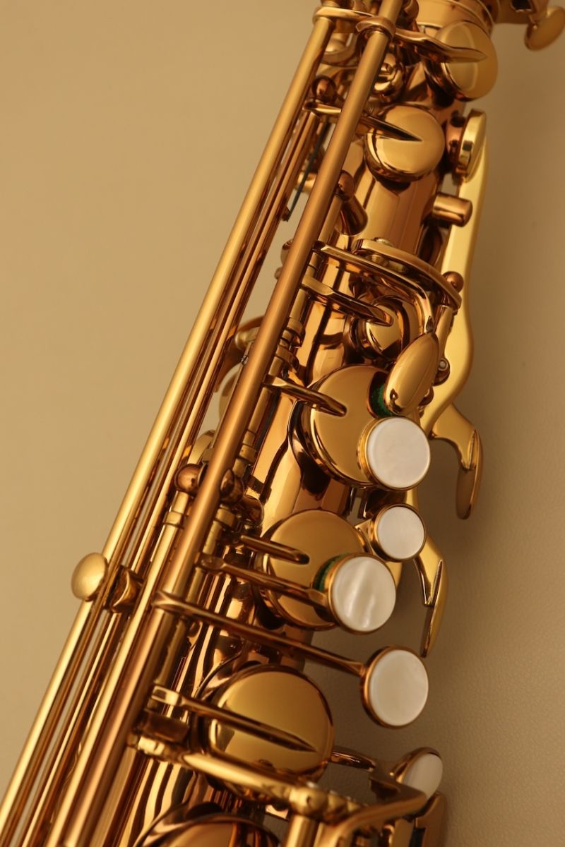 アルトサックス　Chateau CAS-H92DL 楽天市場】Chateau シャトー CAS-H92DL アルトサックス ダー