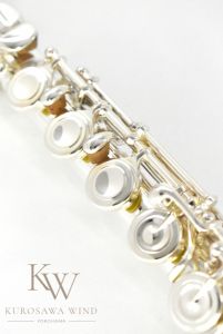 PF-EP925/E“Elegante Primo” | 【クロサワ楽器店オンラインショップ