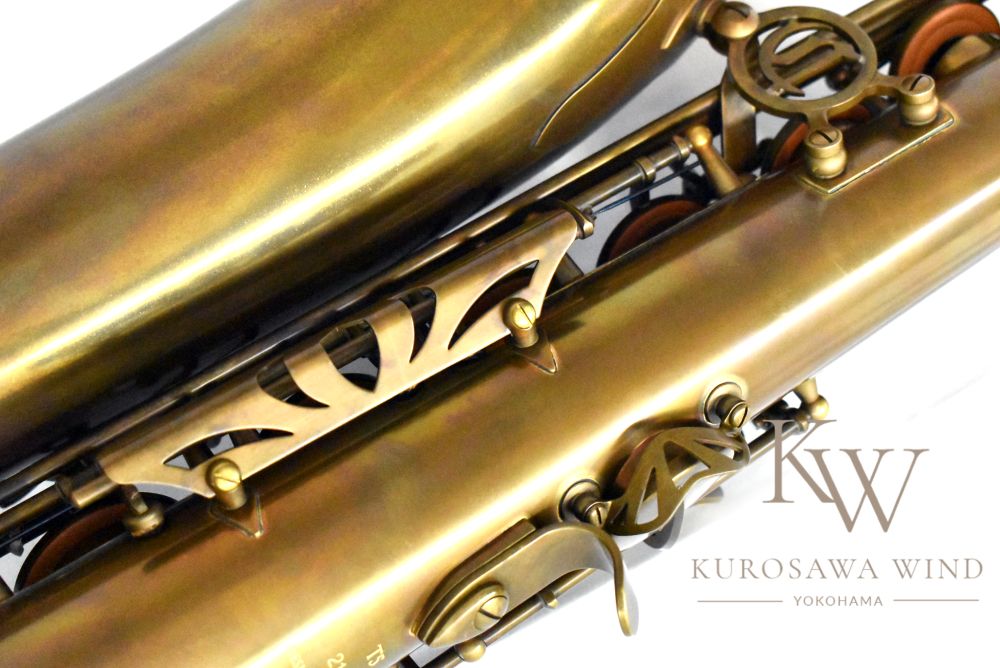 超激レア　アウストロカクタス　FN付き苗色々　４０株セット モンタナサファイア オーバルカット アメリカ産 0.48ct【240711-2190