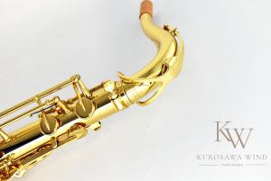 のっぴぃ 試奏のみ ヤナギサワ T-WO1 テナーサックス 保証書・付属品 製品情報 | Tenor | T-WO1｜YANAGISAWA Saxophones Official website
