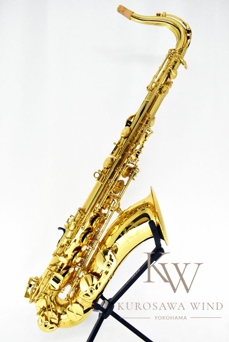 ★新品★salsation サルセーション クロップトップス ダークブラウン　Ｌ SARTORE サルトル ブーツ ロング ジョッキー サイドジップ