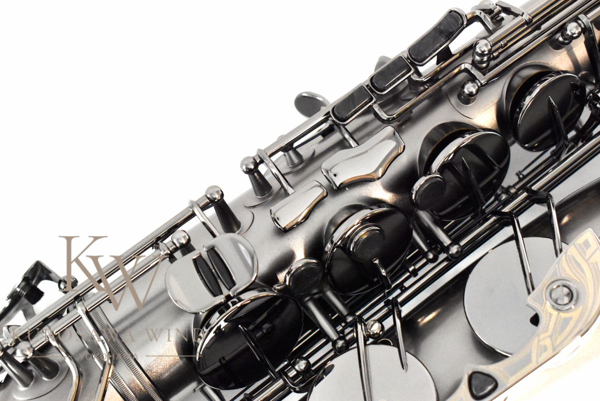 T5-BiceB “The Raven” 【新品】 | 【クロサワ楽器店オンラインショップ