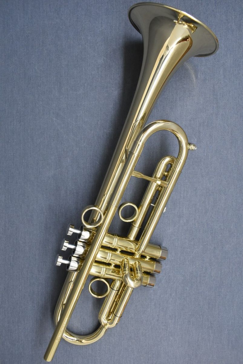 Jp By Taylor Gl クロサワ楽器店 日本最大級の楽器通販サイト