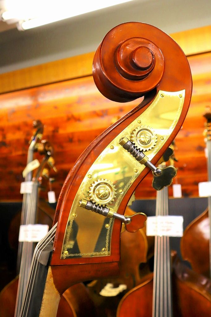 Gems II Violin Shape/C.Back【5st】 | 【クロサワ楽器店