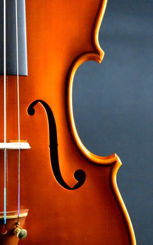 バイオリン Fabio Dalla Costa 19 Violin イタリアン お茶の水店 クロサワ楽器店 日本最大級の楽器通販サイト