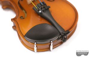 バイオリン Reghin 1/10 新品購入品 1/10サイズ【レジン】 | 【クロサワ楽器店オンラインショップ】いい