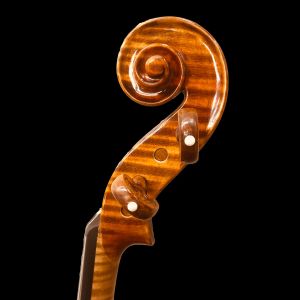 Maestro Genova【グリガ】 | 【クロサワ楽器店オンラインショップ