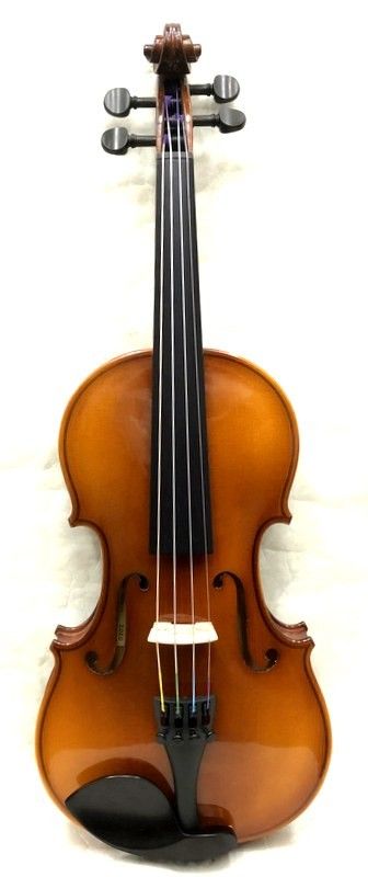 Reghin 1/2サイズ【レジン】 | 【クロサワ楽器店オンラインショップ