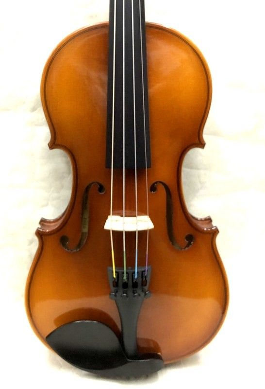 Reghin 1/2サイズ【レジン】 | 【クロサワ楽器店オンラインショップ