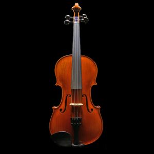 Violin Gliga バイオリン グリガ フルサイズ ★美品★ Gliga Extra | 【クロサワ楽器店オンラインショップ】いい楽器と
