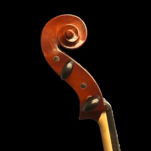 チェロ【GLIGA】 ギグケース付き 直接お渡し チェロ【GLIGA】 ギグケース付き 直接お渡し - メルカリ