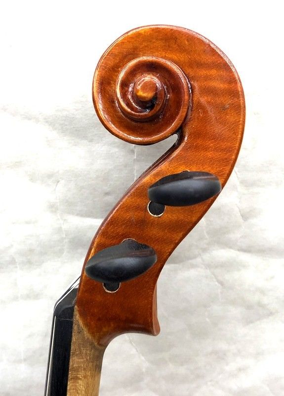 Gems 1/4サイズ 弓・三角型セミハードケース付 | 【クロサワ楽器店