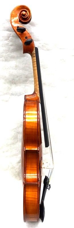Gems 1/4サイズ 弓・三角型セミハードケース付 | 【クロサワ楽器