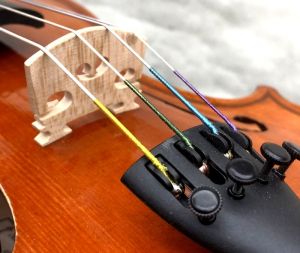 Gems 1/4サイズ 弓・三角型セミハードケース付 | 【クロサワ楽器店