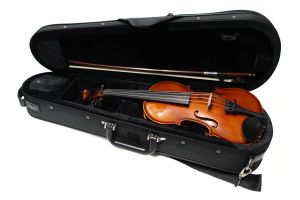 Reghin 【お子様用バイオリンセット】 Reghin 1/4サイズ 【レジン】【大阪梅田店】