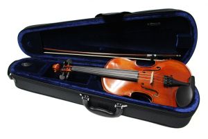 Gliga、1/2の弦楽器検索結果一覧 | 【クロサワ楽器店オンライン