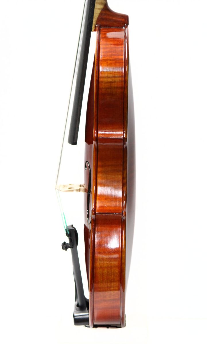 Gliga GamaII 3/4サイズ | 【クロサワ楽器店オンラインショップ】いい