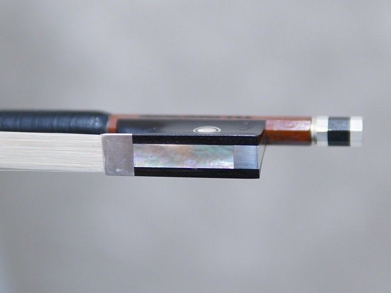 Roderich Paesold PA468V-R | 【クロサワ楽器店オンラインショップ