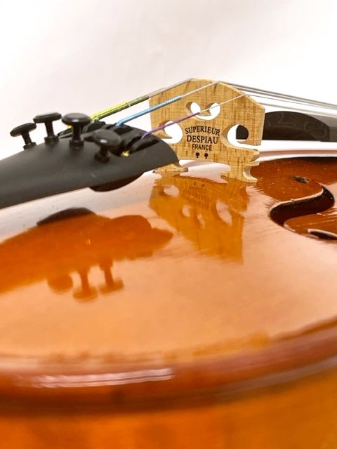 バイオリン 4/4　GLIGA グリガ Gems ゲムス Gliga Gems Violin 4/4 <グリガ>｜平野楽器 ロッキン オンラインストア