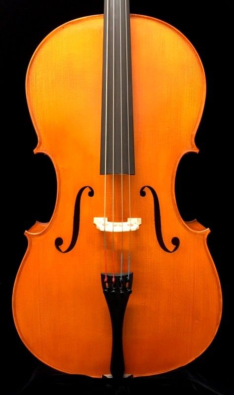 【極上品豊響】 グリガ Gliga Gama 2 ビオラ 15.5インチ セット ビオラ、Gligaの弦楽器検索結果一覧 | 【クロサワ楽器店