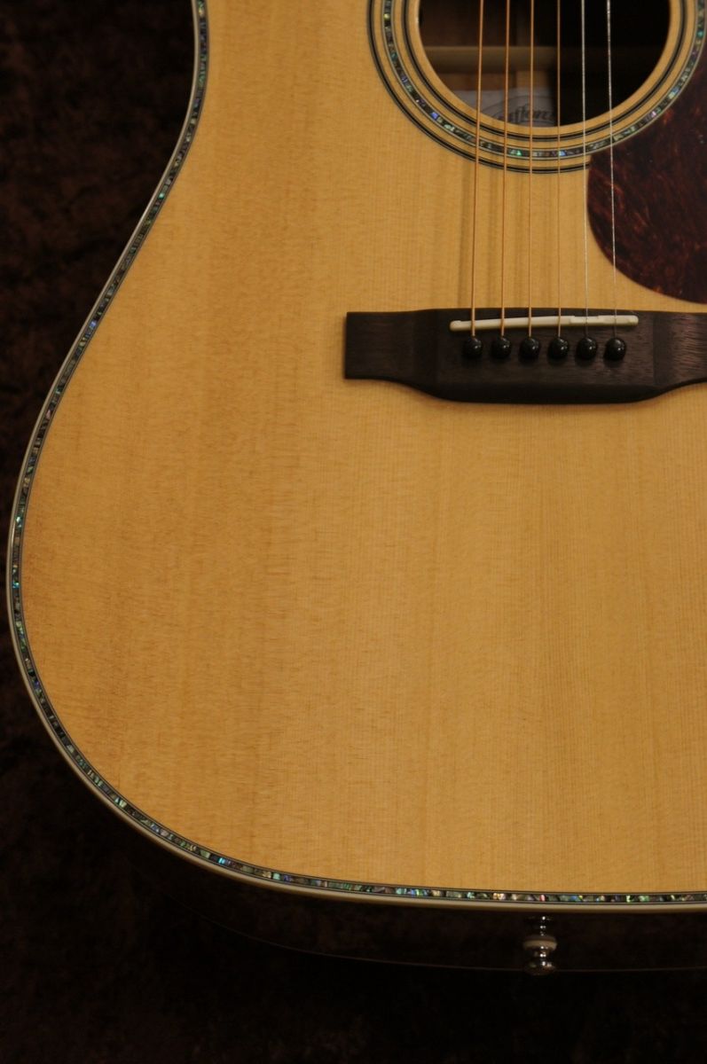 Stafford SF-6D NT [ピックアップ搭載]