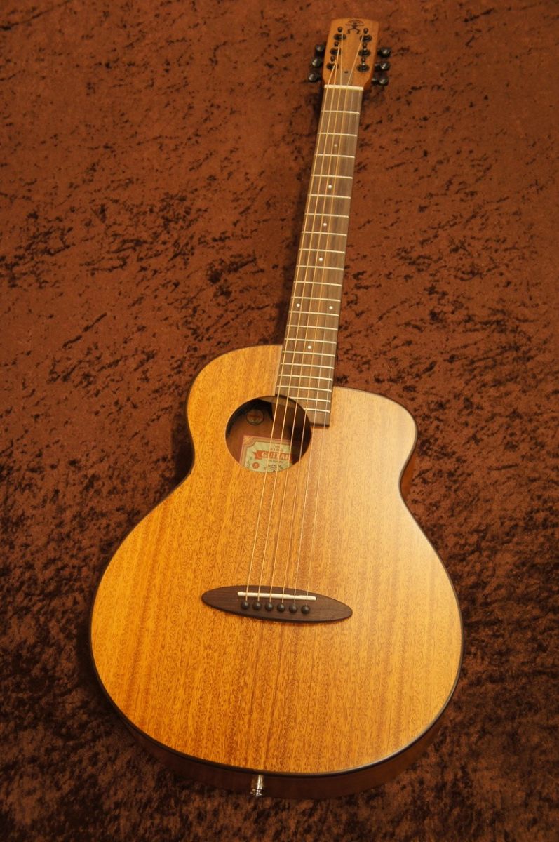 Bird Guitar aNN-M20E | クロサワ楽器店 日本最大級の楽器通販サイト