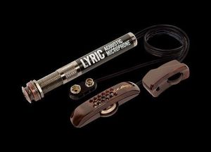 その他 L.R.Baggs LYRIC【マイク録りのリアル感】