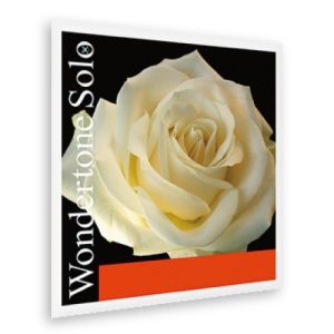 Pirastro バイオリン弦 Wondertone Solo（標準：E線/シルバリースチール）VN 【35%OFF】【ゆうパケット】