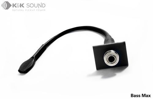 その他 Bass Max《アップライトベース用ピックアップ》【送料無料