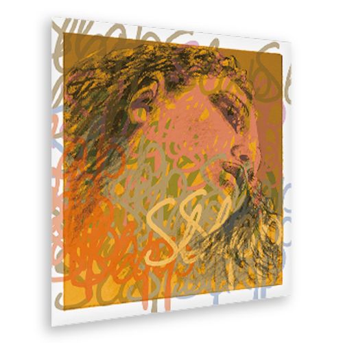 Evah Pirazzi - Slap （D線/シンセティック・クロム巻） CB