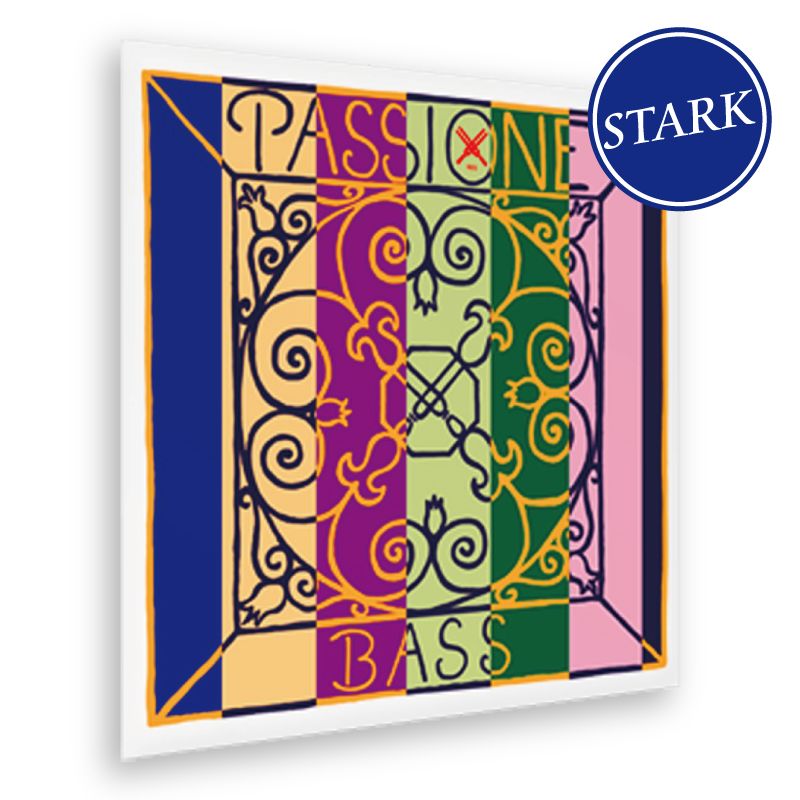 Pirastro（ピラストロ）社／Passione（パッシオーネ） 81-YxWPGy8L.jpg_BO30,255,255,