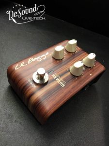 L.R.Baggs ALIGN REVERB