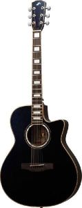 Morris アコースティックギターエレアコ 新品弦、ピン付き 51yYf-yKuRL._UF350,350_QL50_.jpg