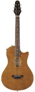 ESP Bamboo Inn CE Char プロデュース エレアコ　美品 28efe601-89de-4c36-9c4b-