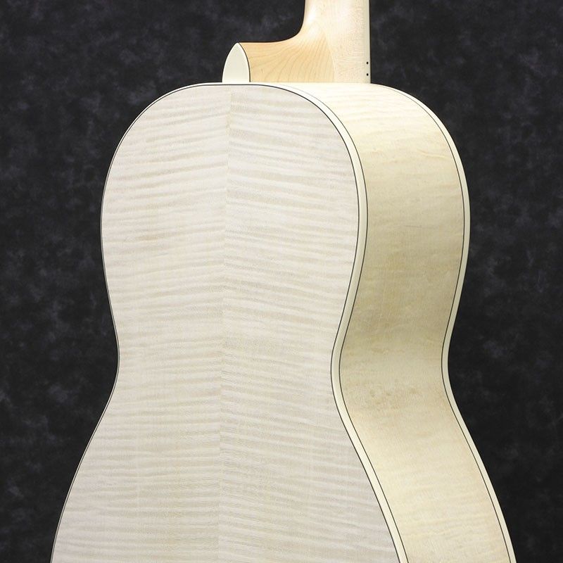 Ibanez AN419E-OAW ケース付きエレアコギター