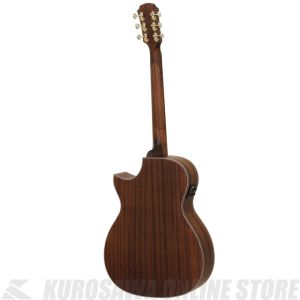 AF-101MHCE 【送料無料】 【カポ・チューナー・クロスアコギ3点セット