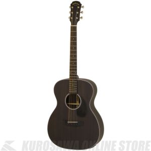 ARIAアコスティックギター ARIAのアコースティックギター検索結果一覧 | 【クロサワ楽器店