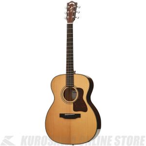 Headway アコースティックギター HF-045S ソフトケース付き Headway アコースティックギター HF-045S ソフトケース付き