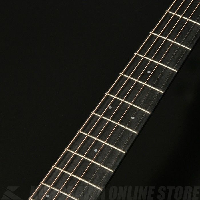 HGAF-5100SE/FMY-C | 【クロサワ楽器店オンラインショップ】いい楽器と