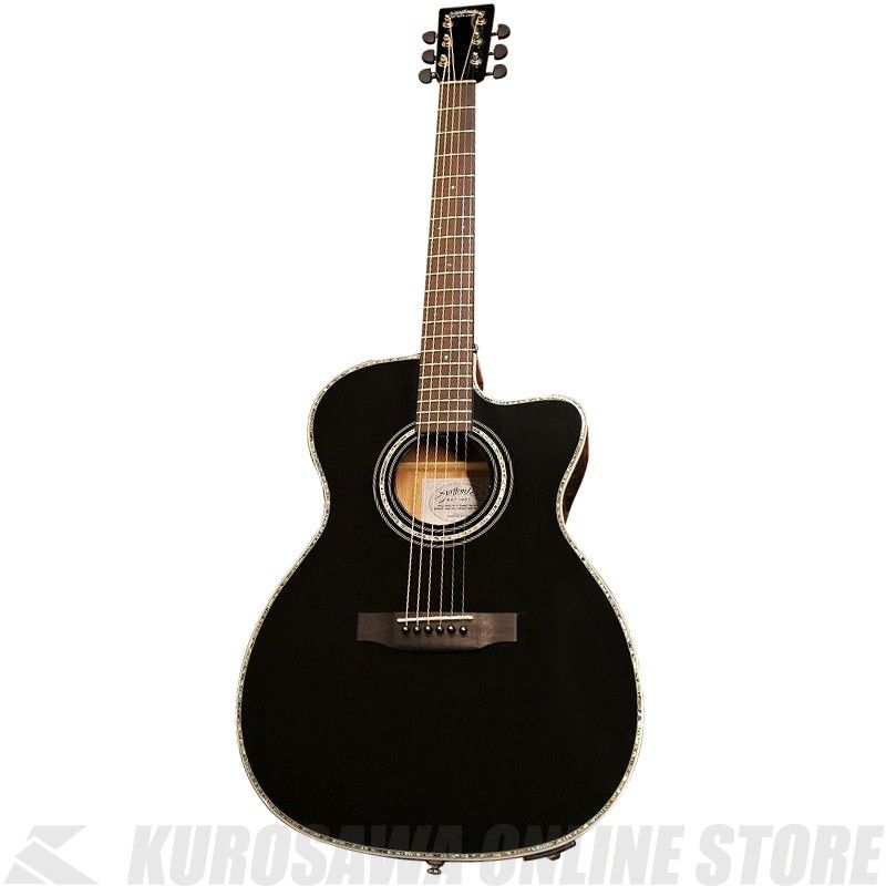 Ashton D24JP NAT アコースティックギター