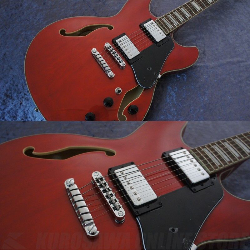 AS73-TCD | 【クロサワ楽器店オンラインショップ】いい楽器とのいい